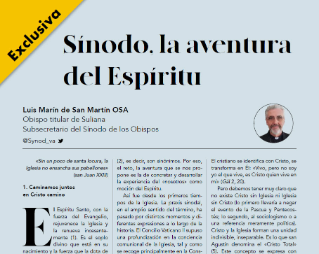 "Sínodo, la aventura del Espíritu". Artículo de Luis Marín de San Martín OSA
